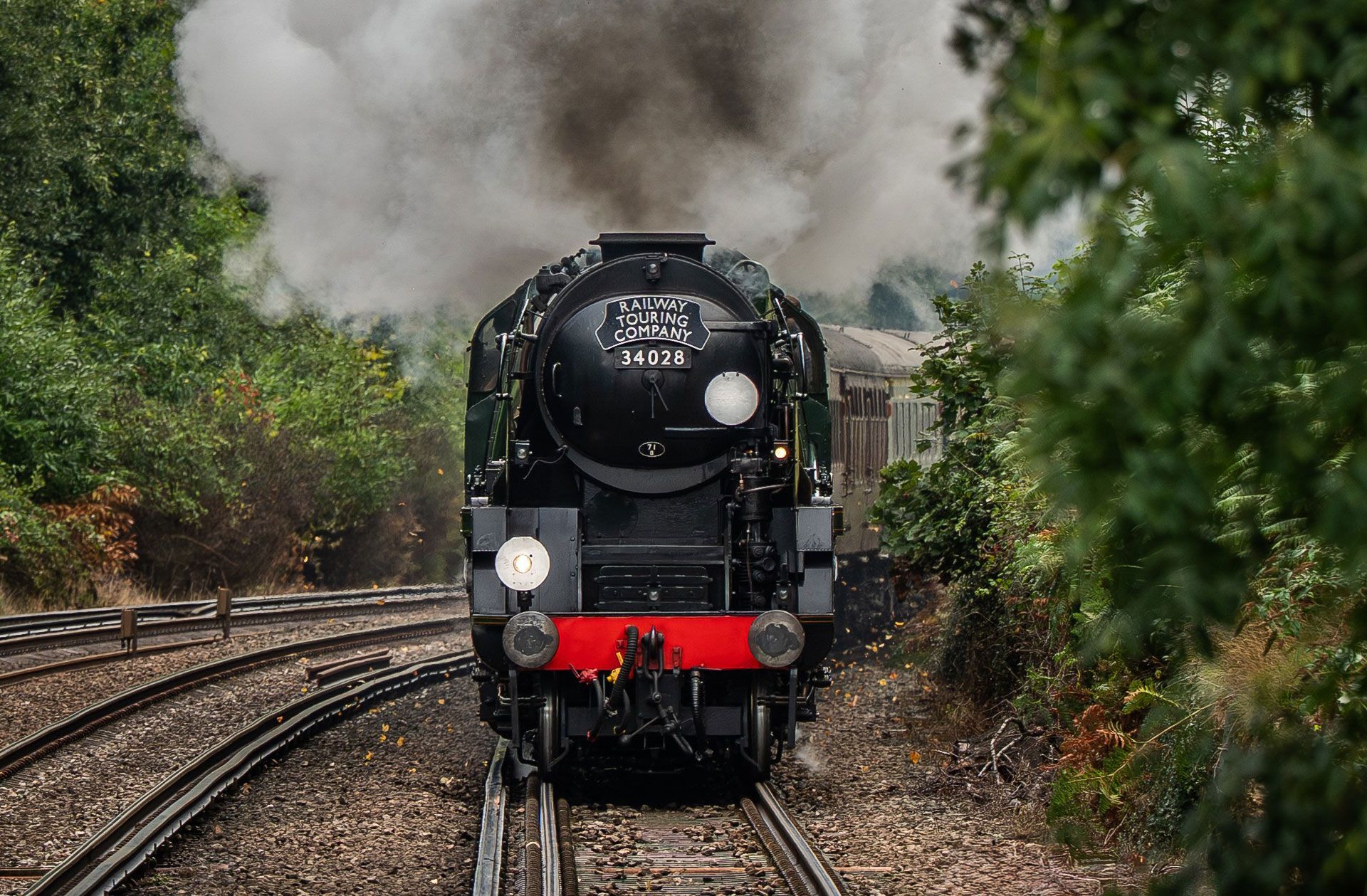 Front-facing black steam locomotive on tracks, billowing white smoke through a wooded area