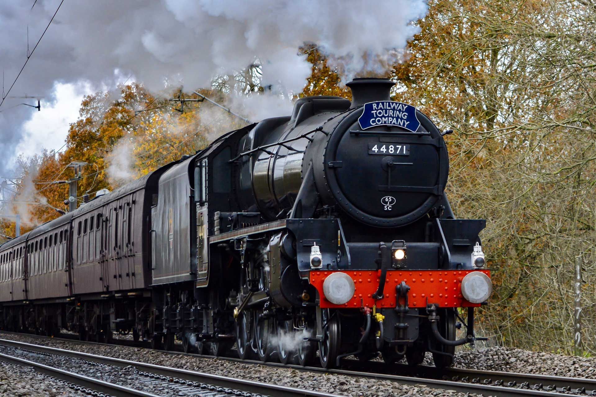Black steam train pulling passenger cars on tracks, surrounded by fall foliage.