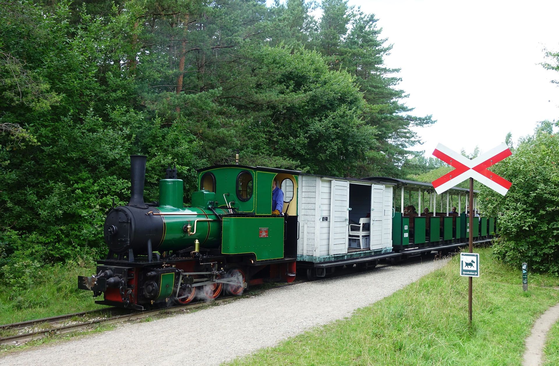 Green steam locomotive pulling white and green cars past a red-and-white railroad crossing sign in wooded area