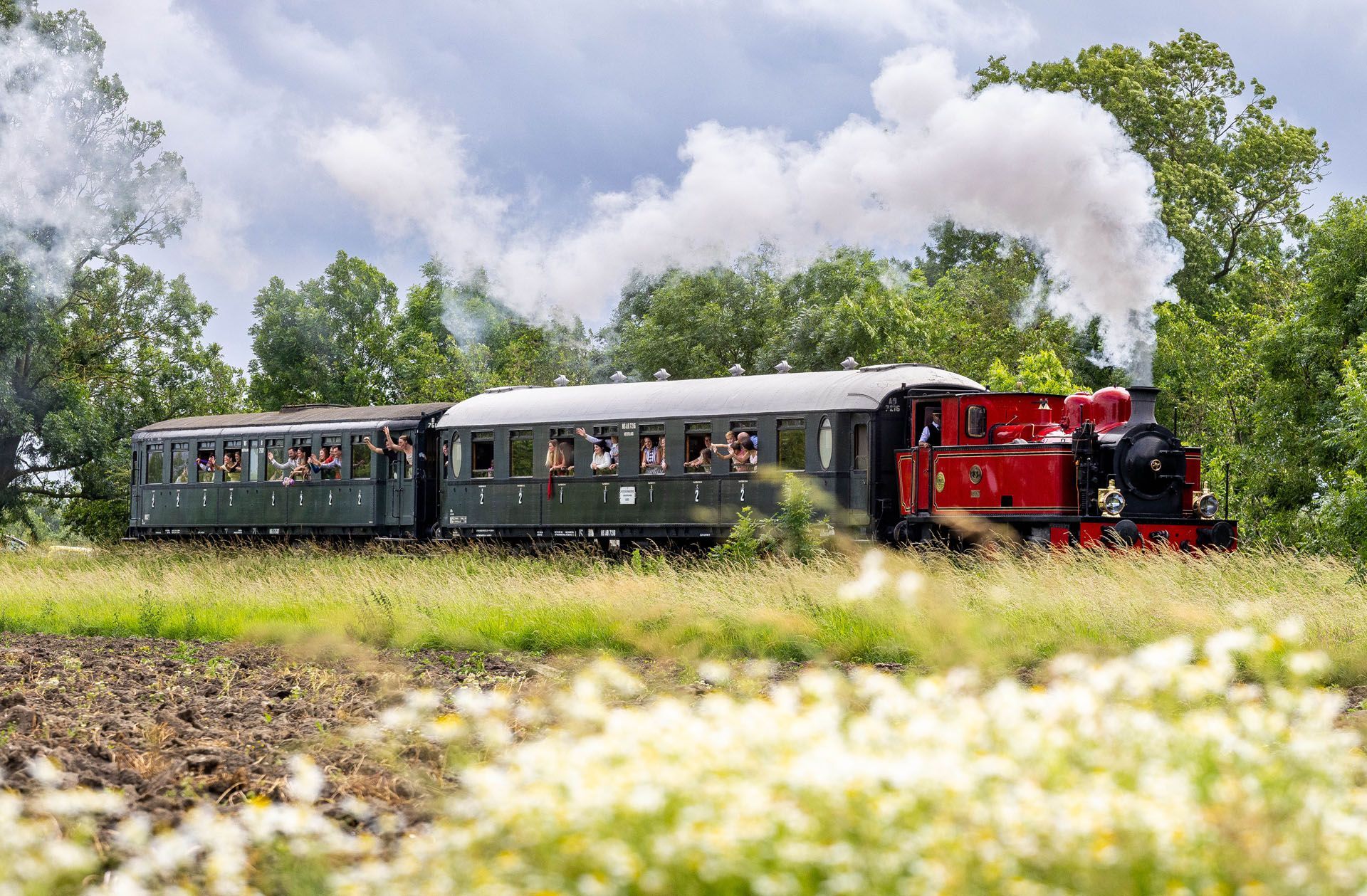 A red steam train pulling gray carriages through a green field under a cloudy sky