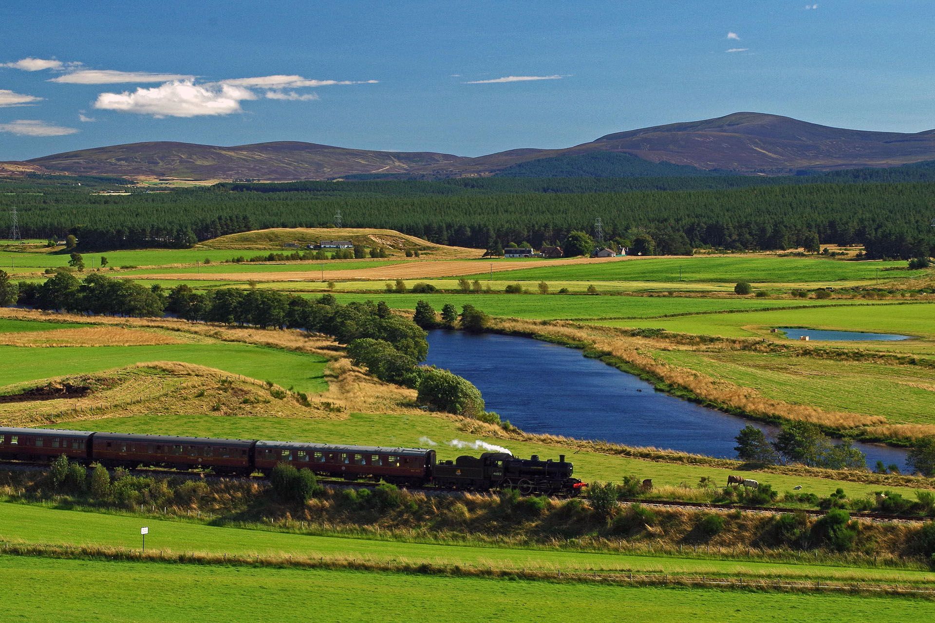 heart of scotland