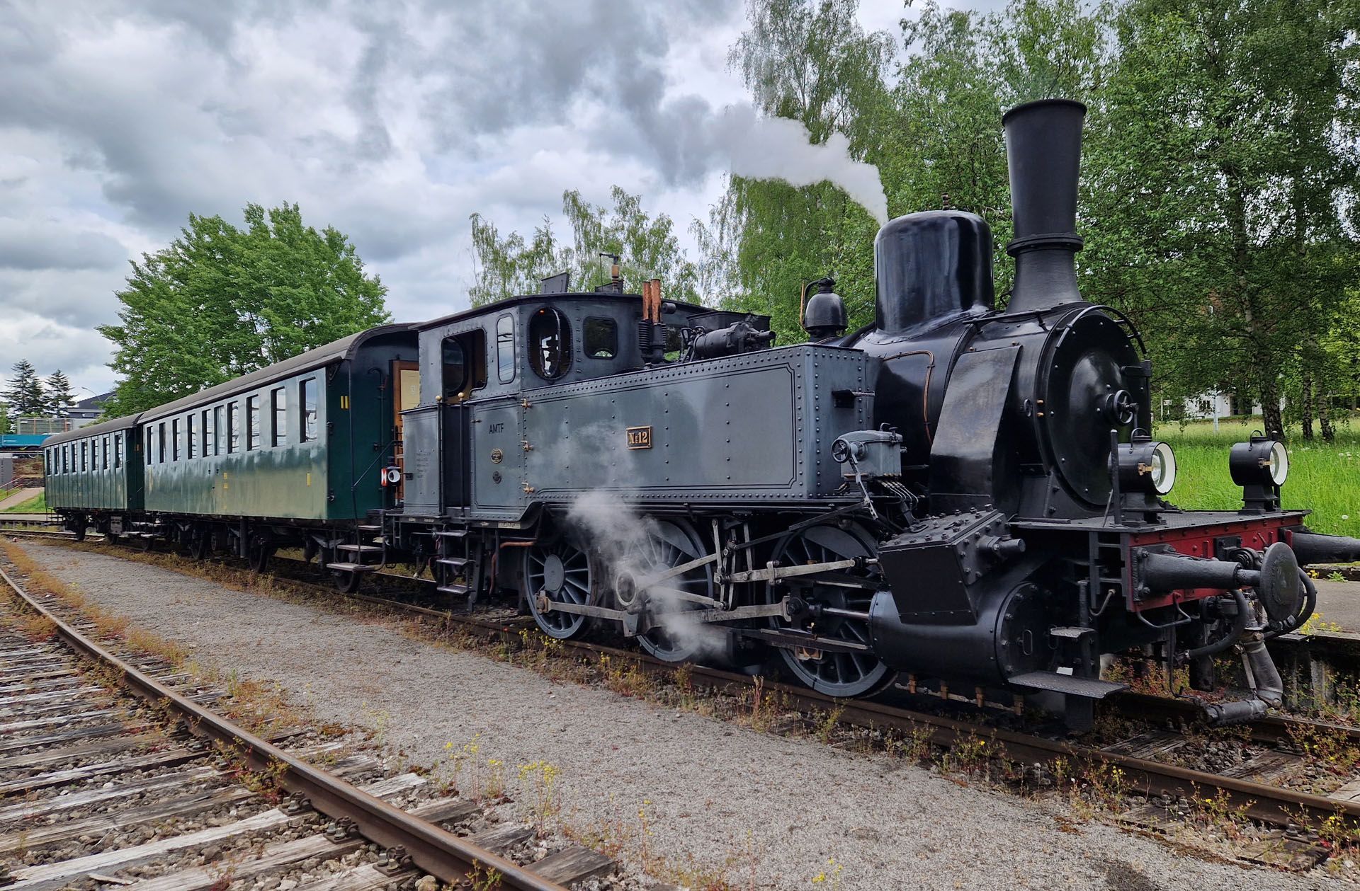 Black steam locomotive pulling green passenger cars on rainy railroad tracks near trees