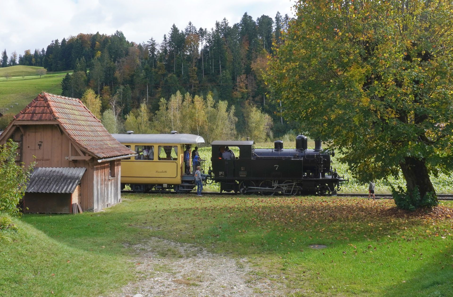 Vintage black steam train with yellow carriage beside a rustic cottage in a green countryside meadow