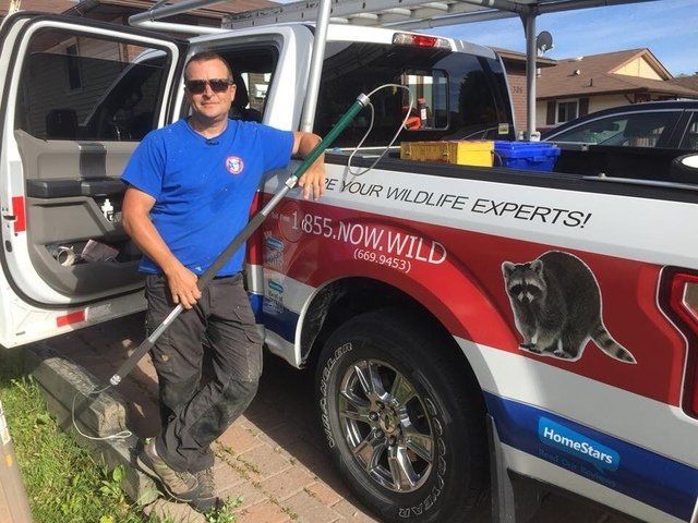 Wildlife Removal technician with work truck prepared to do the job of unwanted wildlife removal