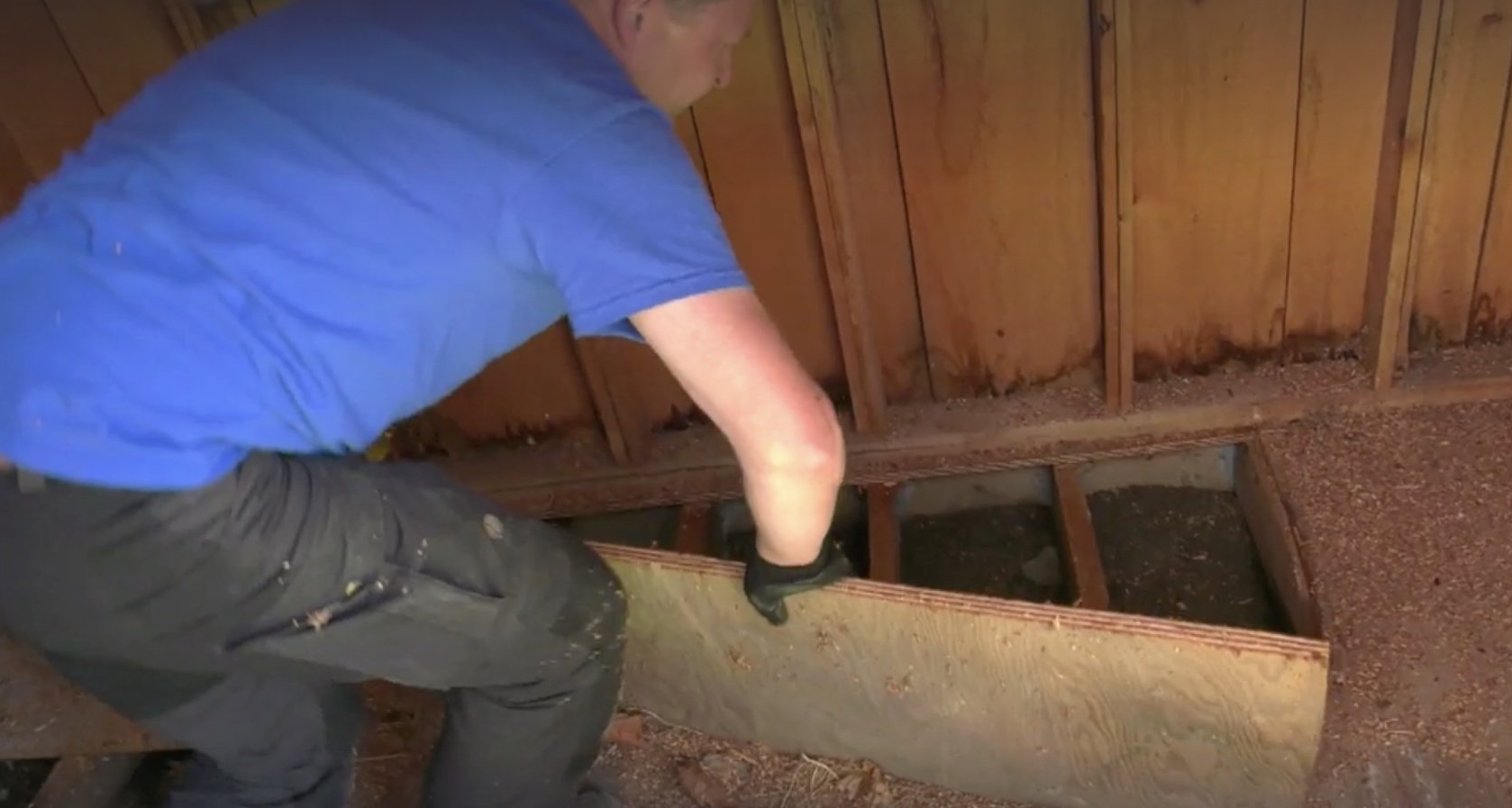 wildlife removal technicians find the entry point of unwanted wildlife into your home or property