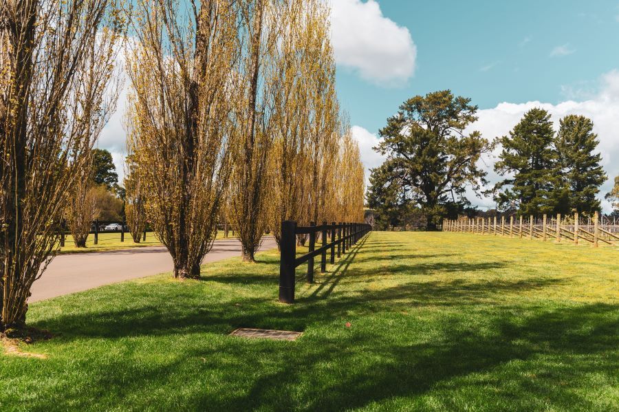 A Wooden Fence Surrounds a Grassy Field With Trees — Prime Built in Berrima, NSW