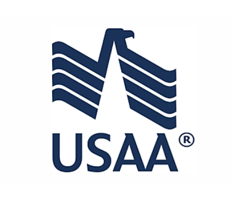 USAA logo: stylized blue flag with an eagle head over the letters USAA in blue.