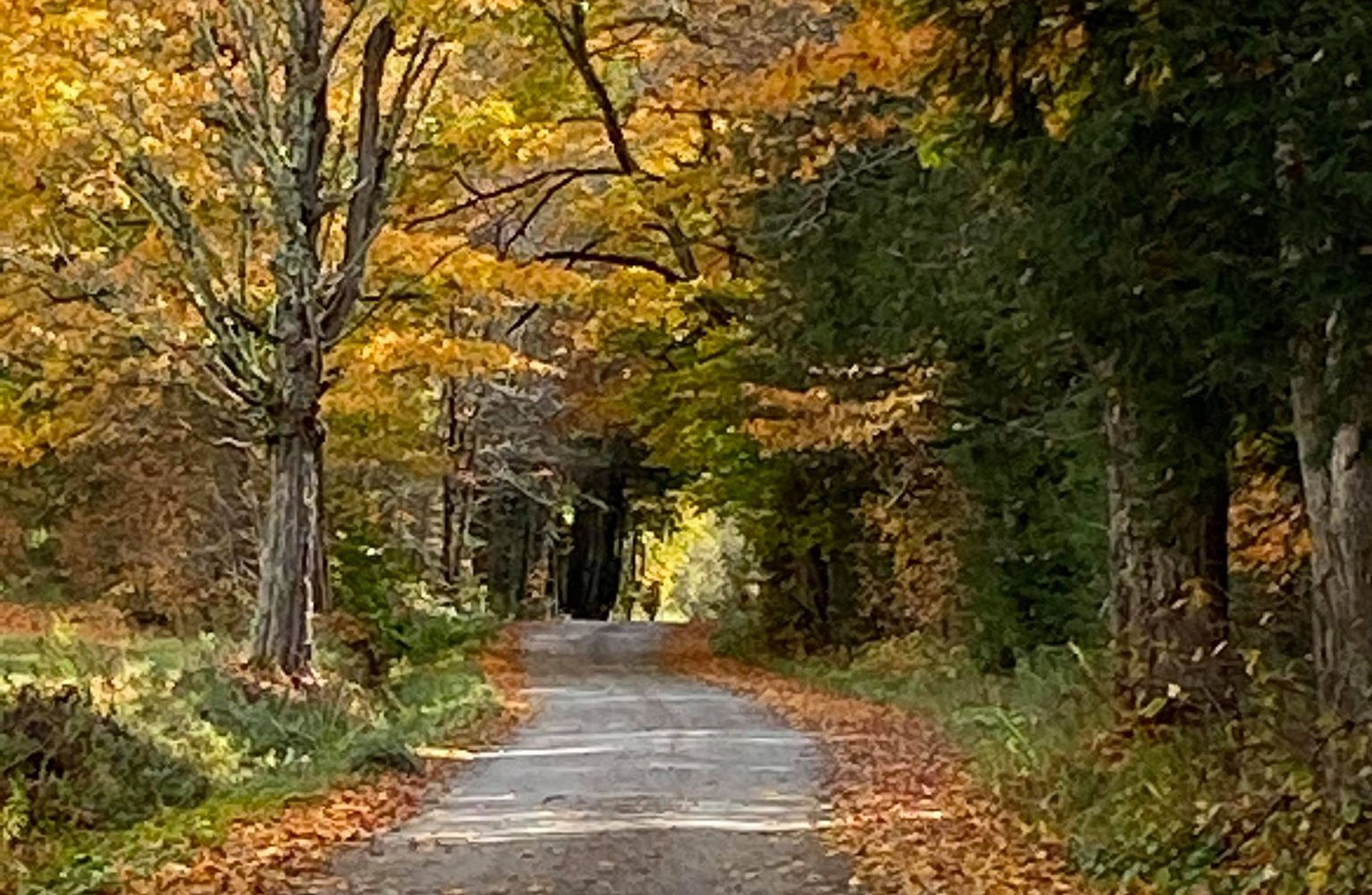 dirt road that leads thru the heart of the Town of Kirby
