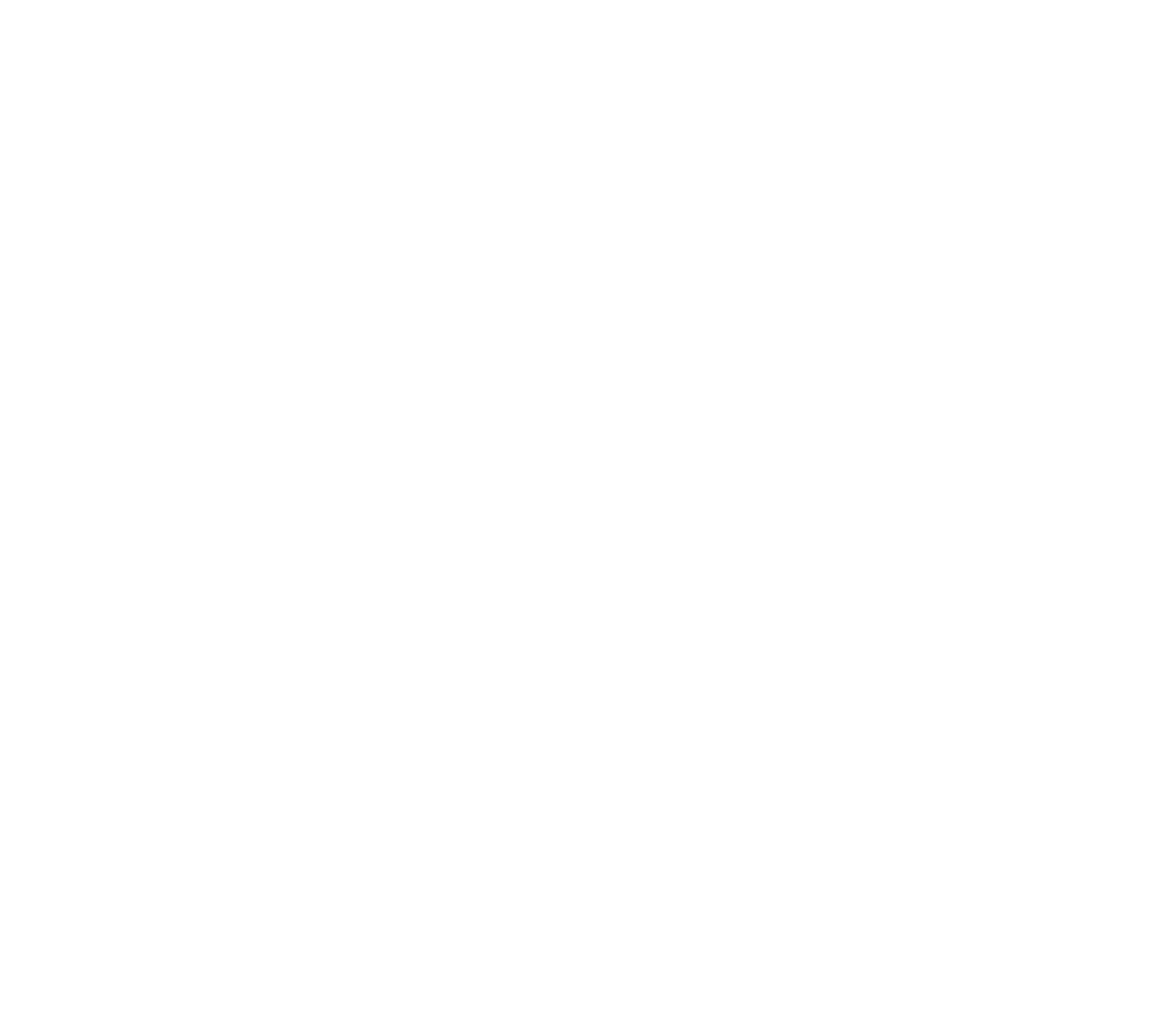 logo carrefour
