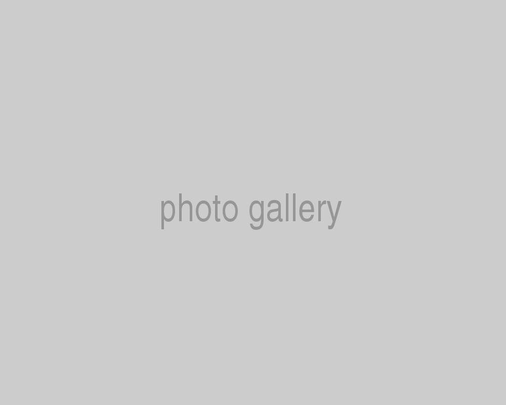 A gray background with the words photo gallery written on it.