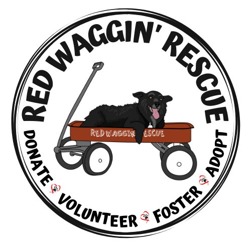 Logo for Red Waggin' Rescue: Black dog in red wagon, surrounded by text 