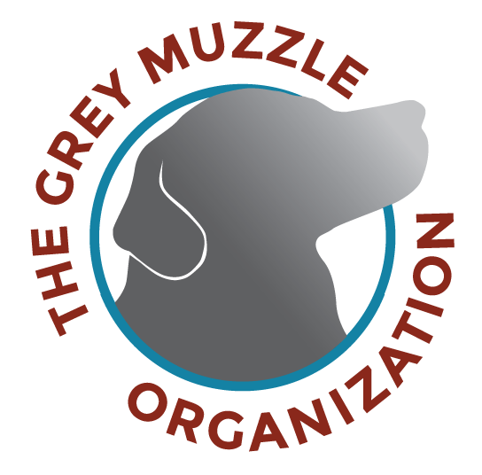 Logo for The Grey Muzzle Organization: dog's head silhouette in a blue circle, with text in brown.