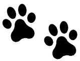 Black paw prints, two side-by-side, indicating direction.