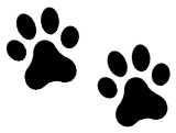 Black paw print footprints.