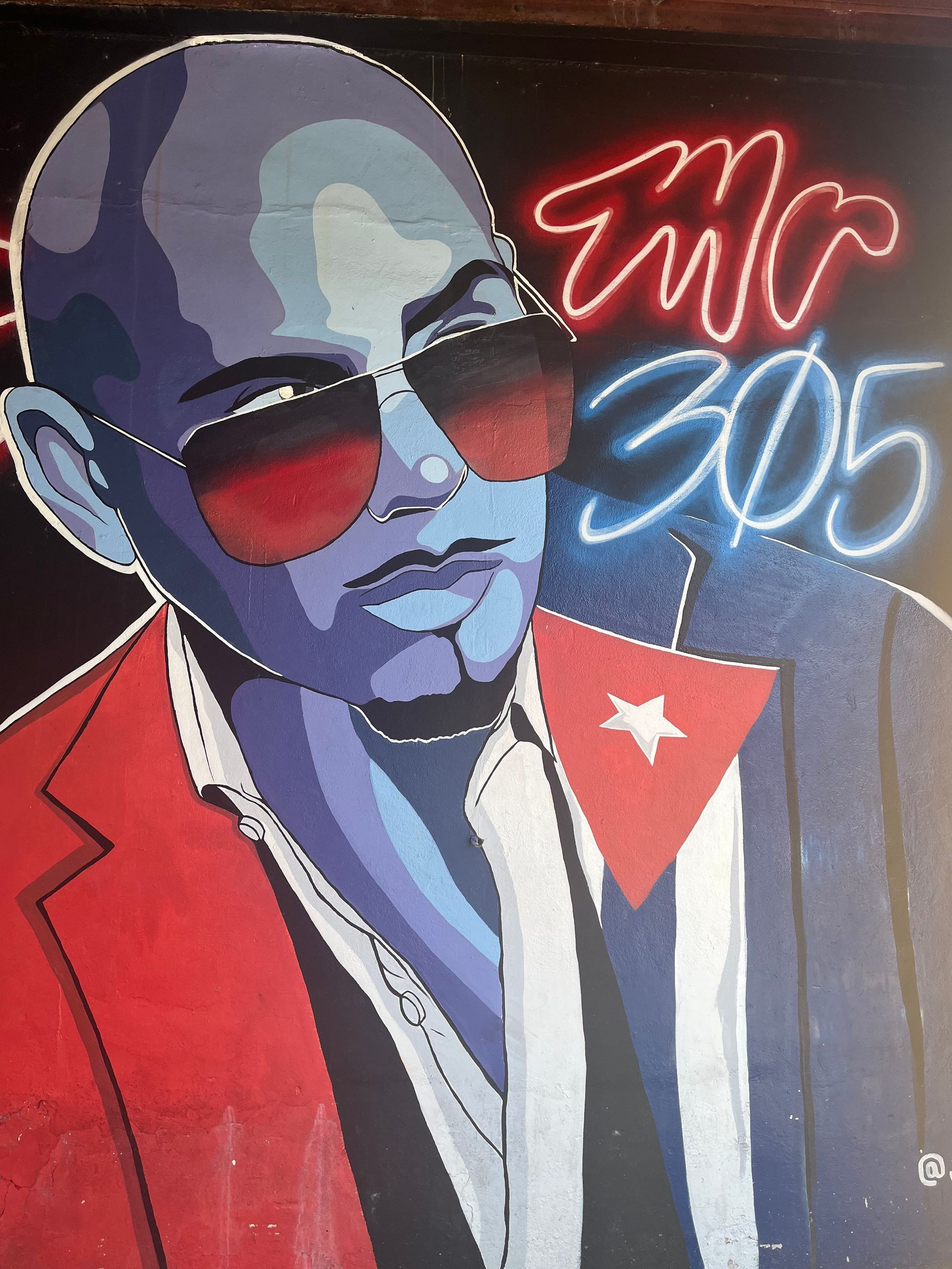 Pitbull Wall on 8th street
