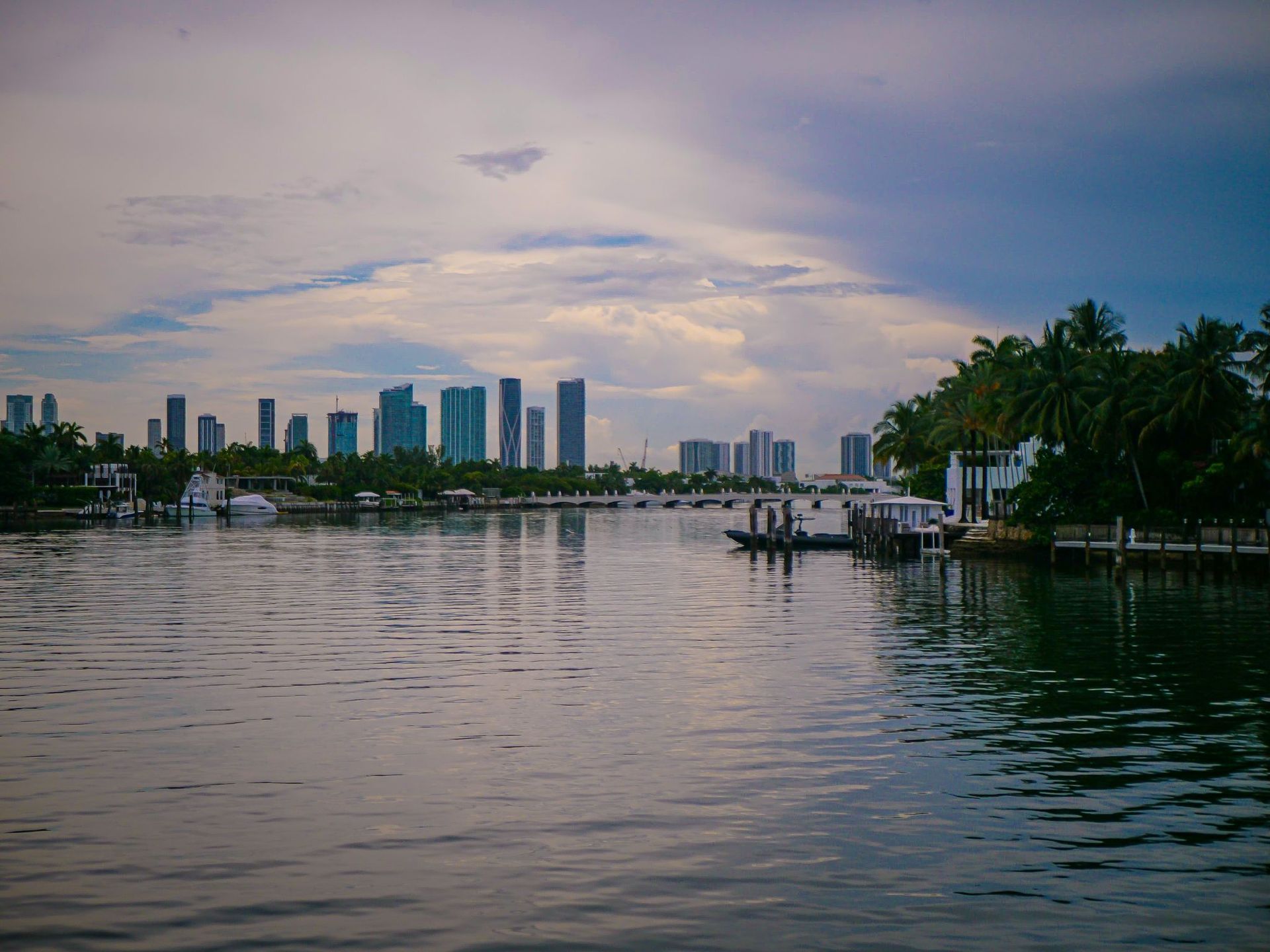 Miami Skyline
