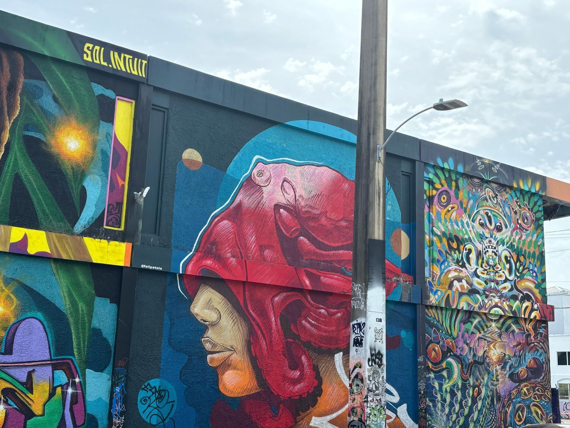 Mural in Wyndwood Walls part of the Miami 3 in 1 City Tour