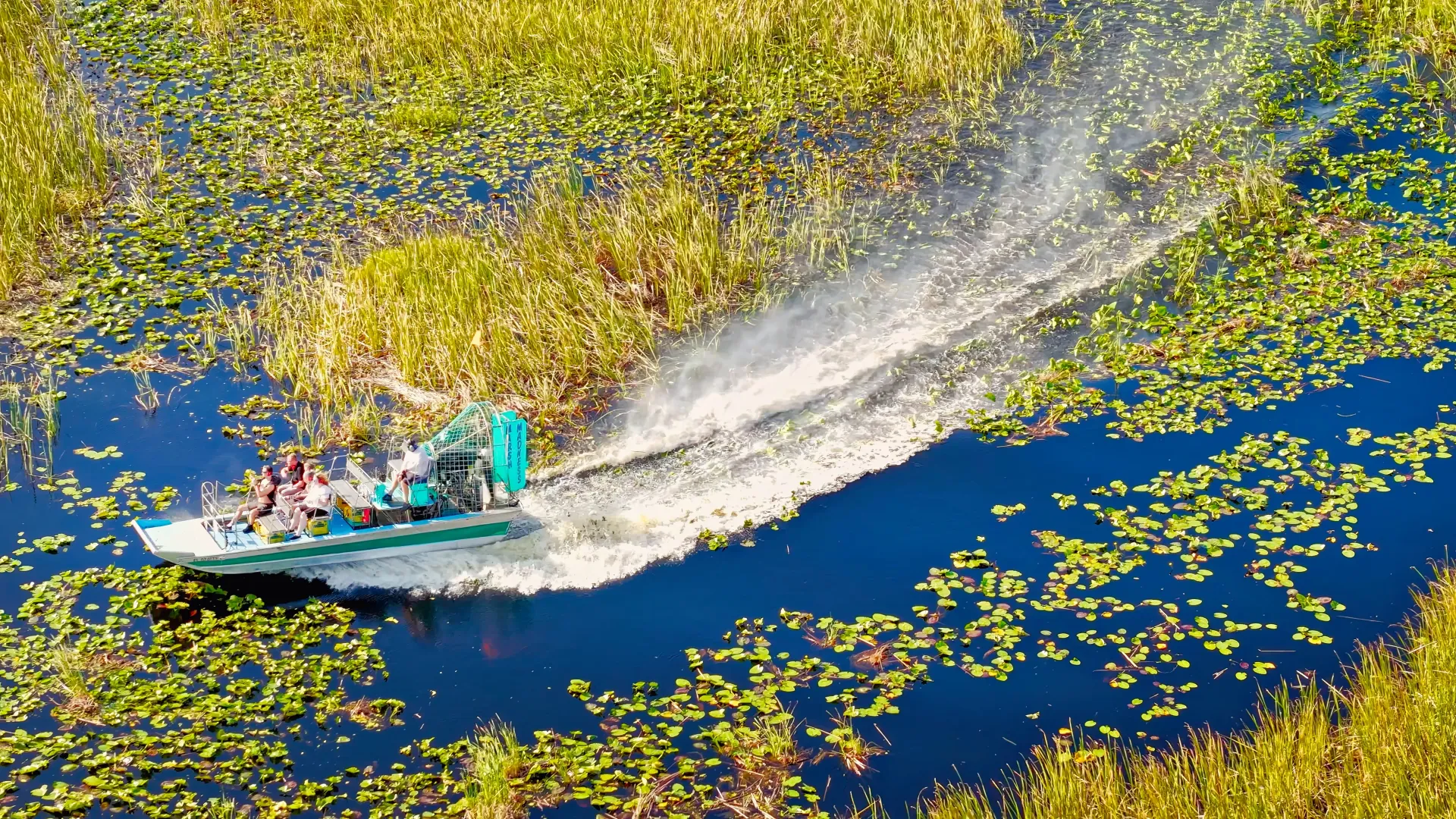 Guests enjoying an Everglades airboat ride from Miami through the Florida Everglades wetlands.