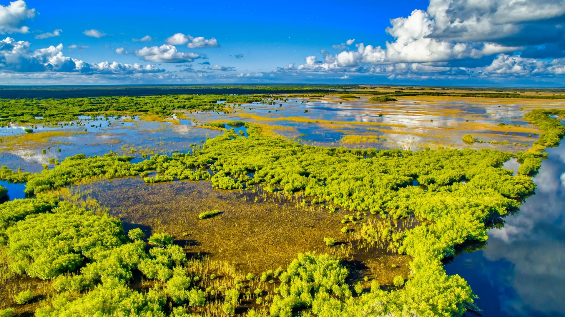 Aerial view of the Florida Everglades, known as the River of Grass, showcasing one of the world's largest subtropical wetland ecosystems.