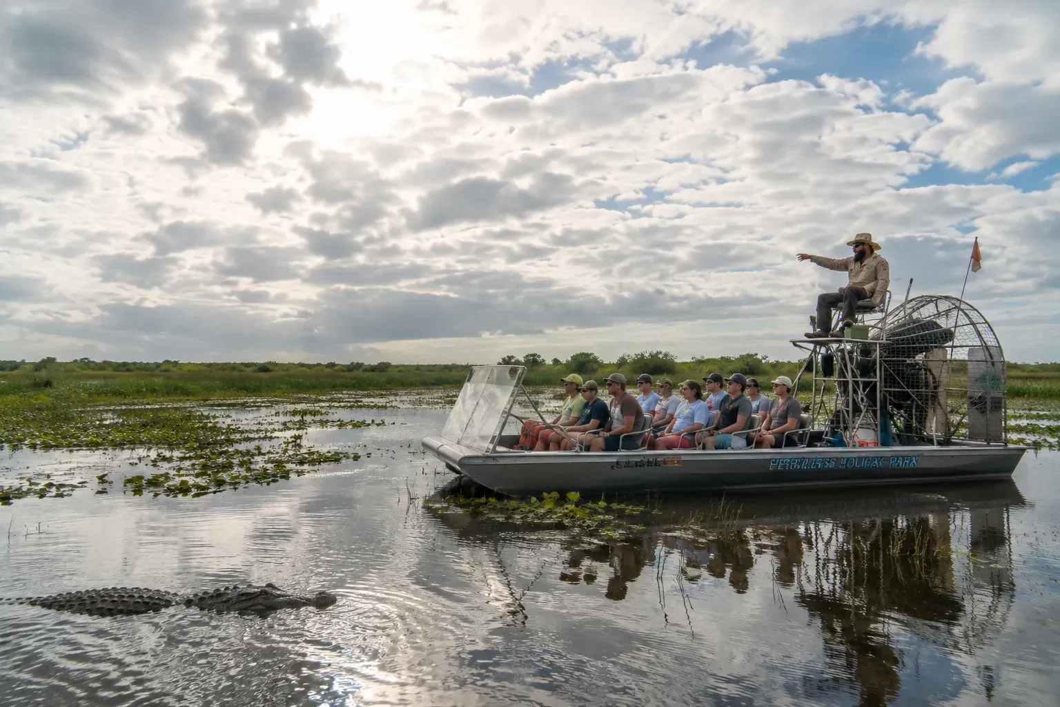 Guests observing a wild American alligator during a Miami Everglades wildlife tour aboard a guided airboat.