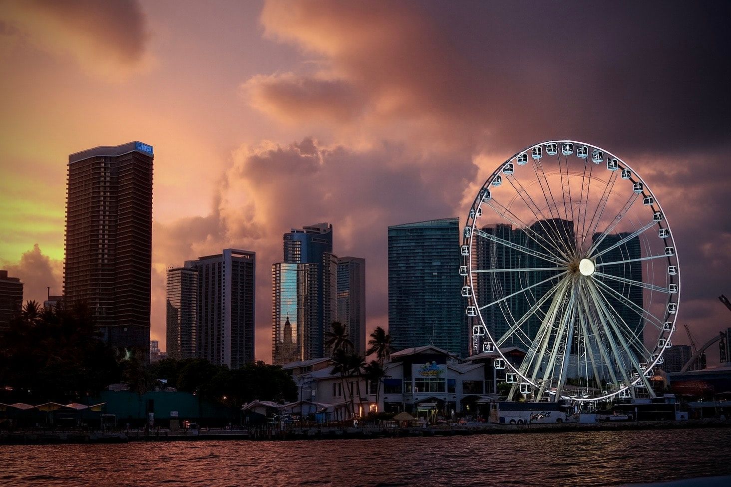 Miami Night Cruise