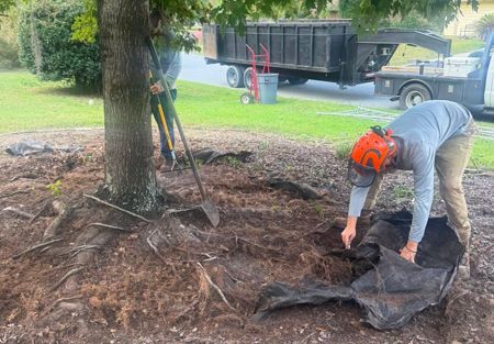 Man in orange helmet mulching tree roots, truck and tools in background.
