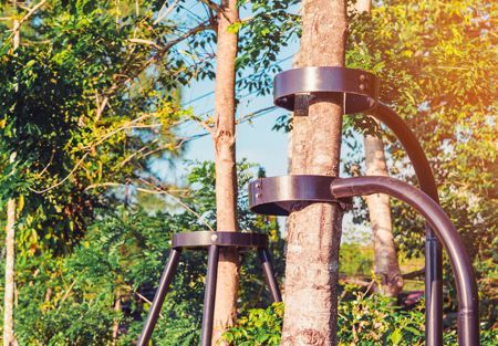 Tree trunk stabilized by black metal supports in a park setting.