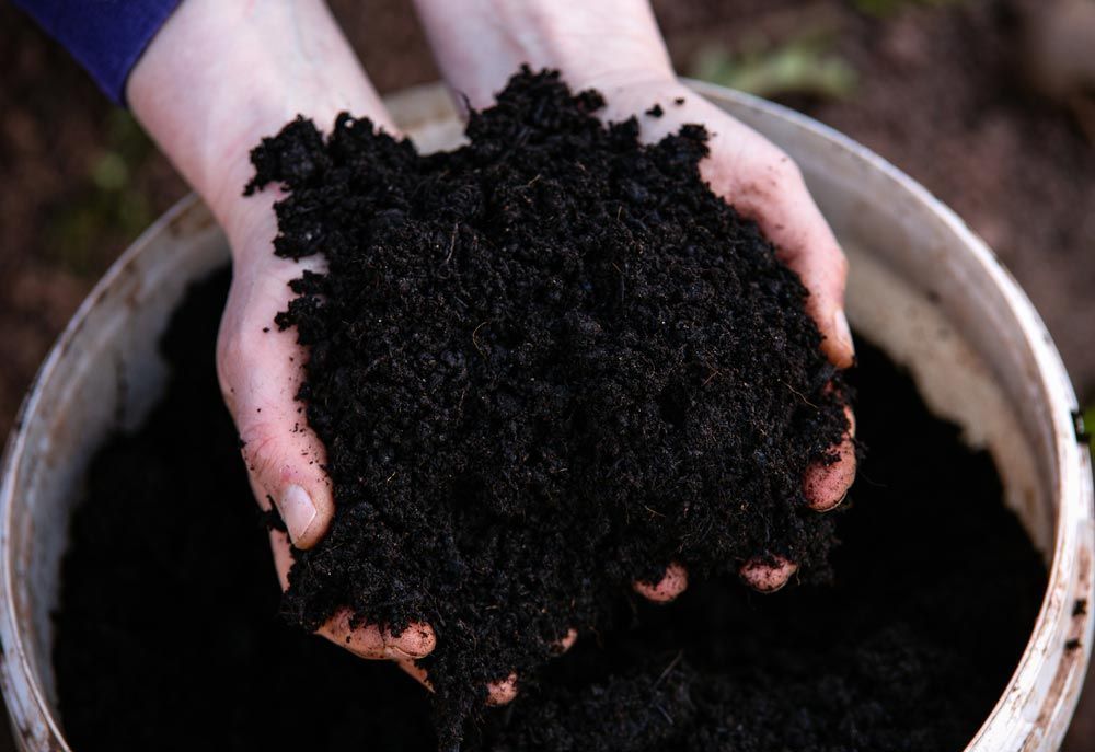 Hands Cupped, Holding a Mound of Dark, Rich Soil, with A Bucket in The Background — Gladstone Garden & Landscaping Supplies In Burua, QLD