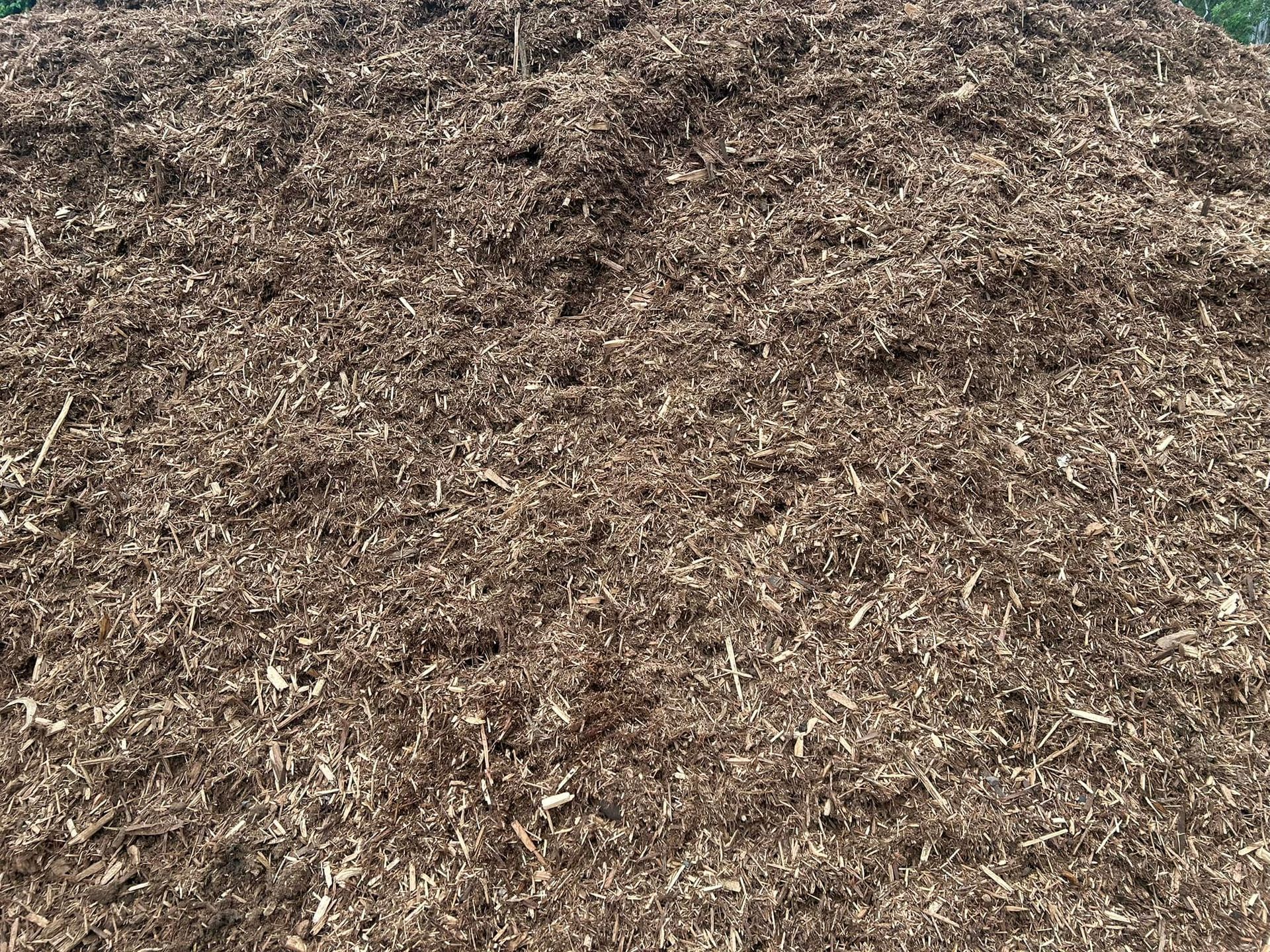 Diagram Comparing Mulched and Unmulched Soil, Showing Benefits of Mulch Like Moisture Retention — Gladstone Garden & Landscaping Supplies In Burua, QLD