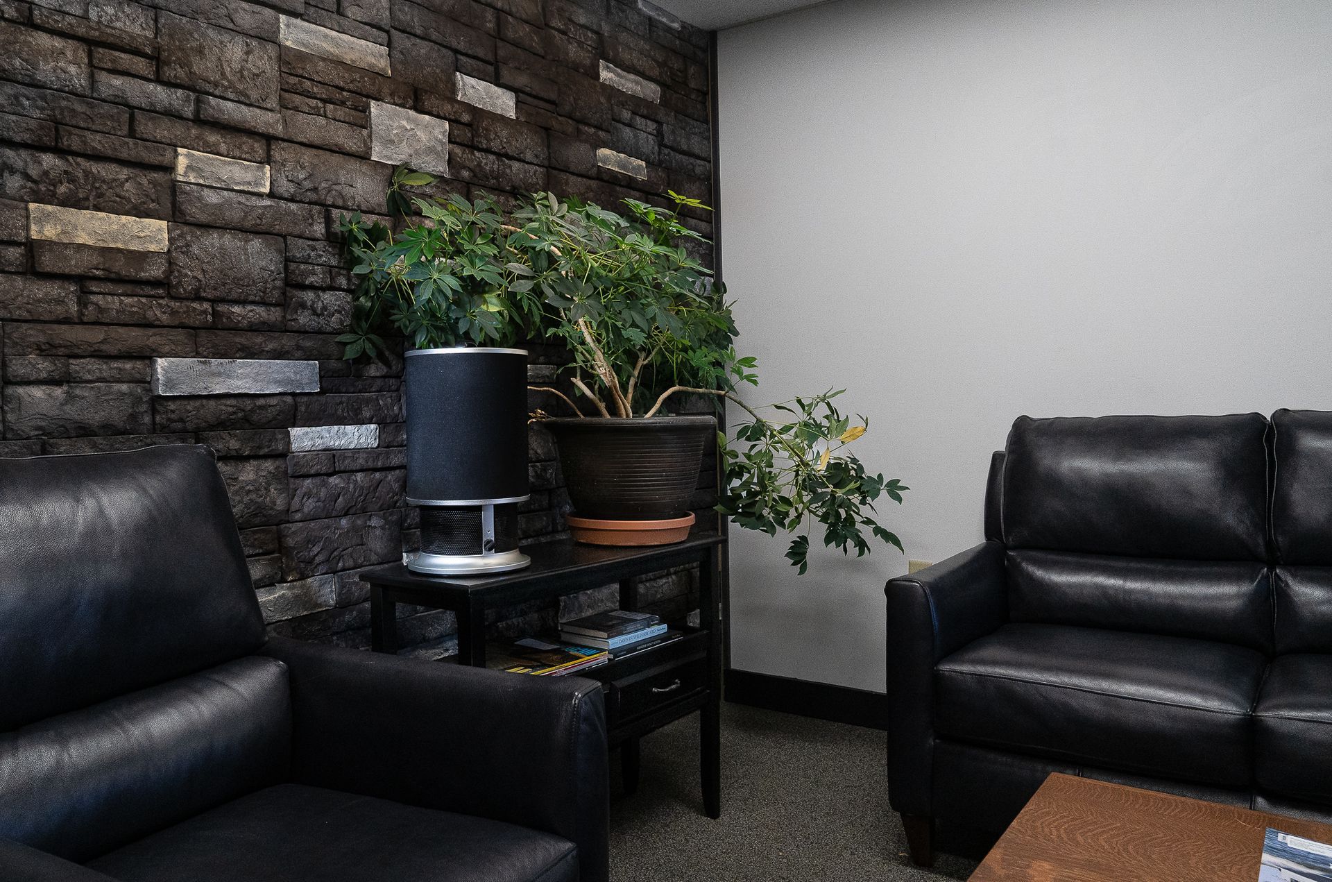 Black leather chairs in a cozy waiting area with stone wall, plants, and a small table