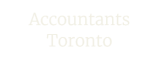 the word accountants is written in white on a white background .