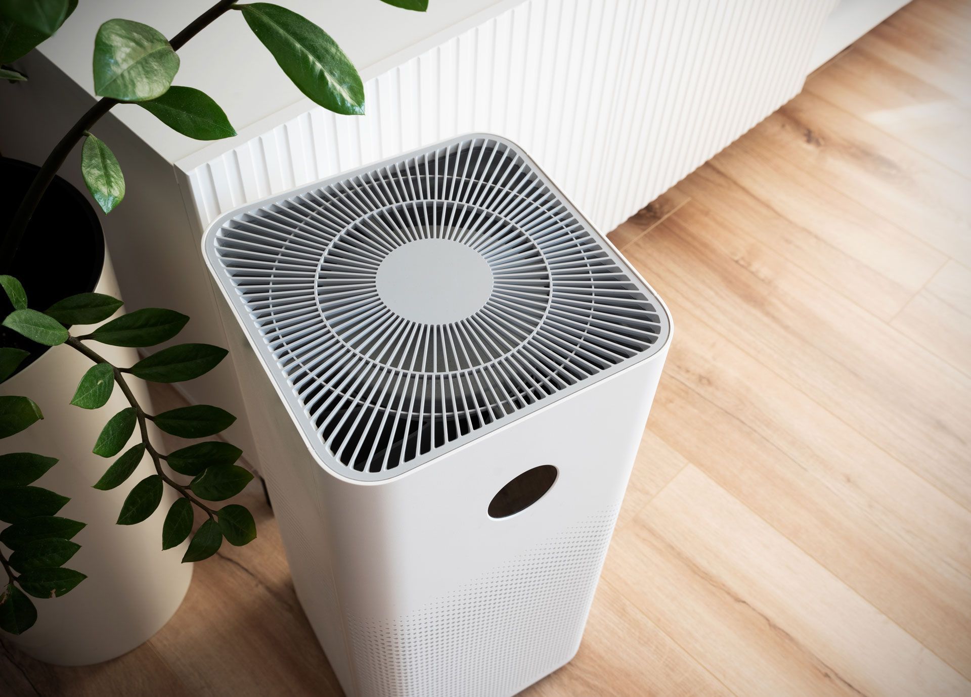 White air purifier with black top vents beside a wall, on a wooden floor near a plant.