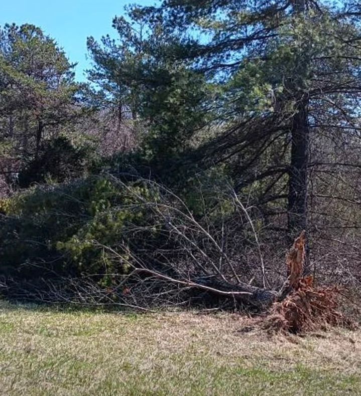 storm damage clean up in Taunton, MA