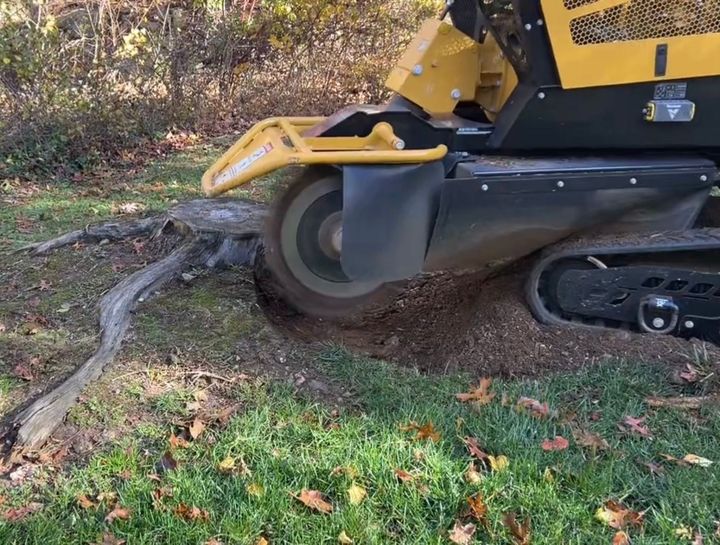 Stump Grinding in Taunton, MA