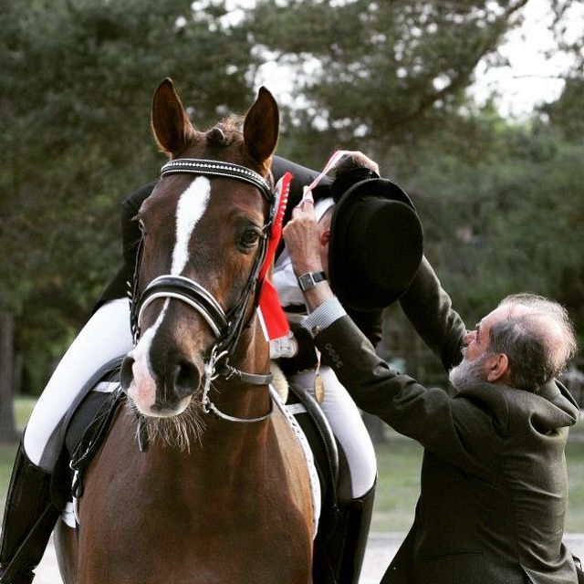 Turnier Reiten 