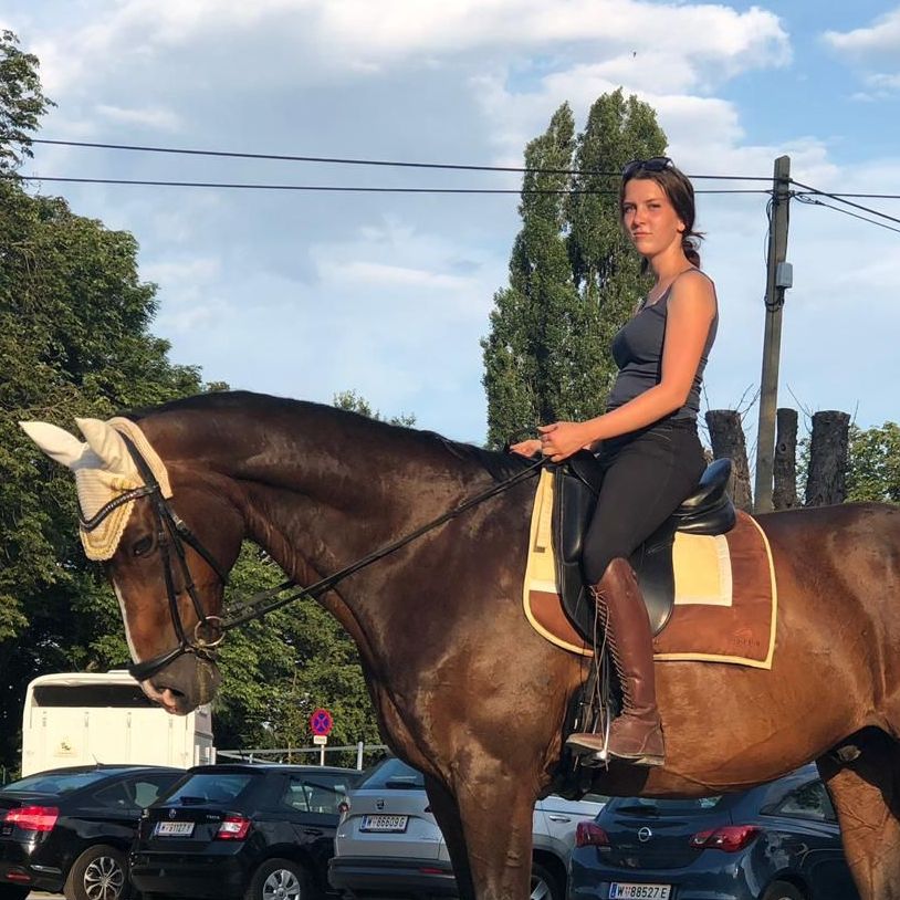 Frau auf einem braunen Pferd in Reitkleidung.