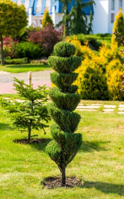 landscaping Kleinberg