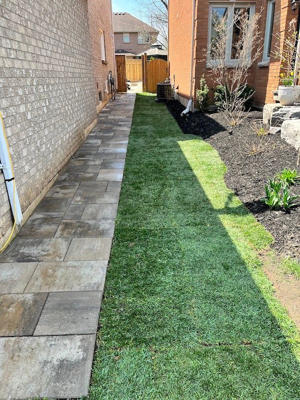 A sidewalk leading to a house with a brick wall and a lush green lawn.