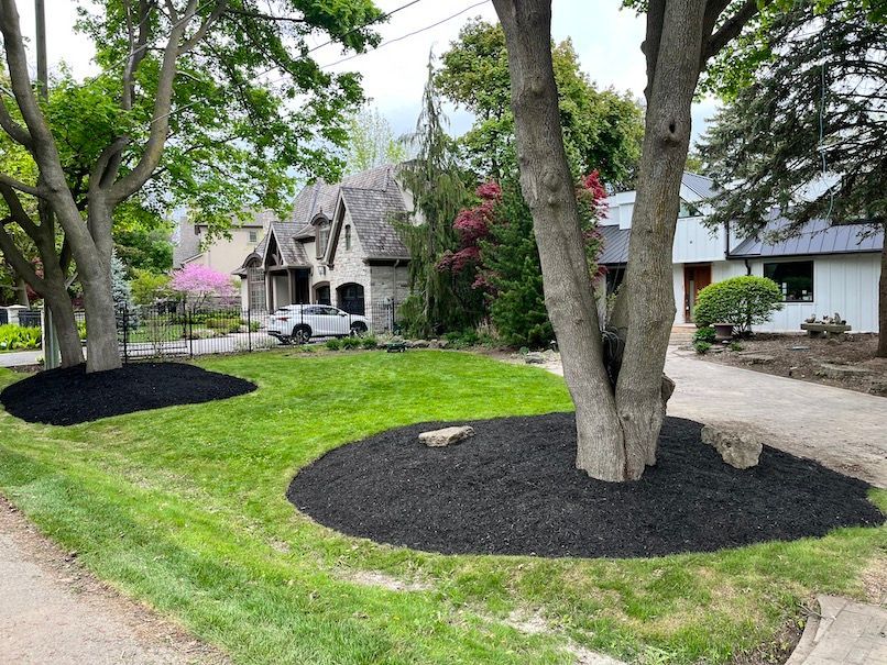 A house with a white car parked in front of it is surrounded by trees and mulch.