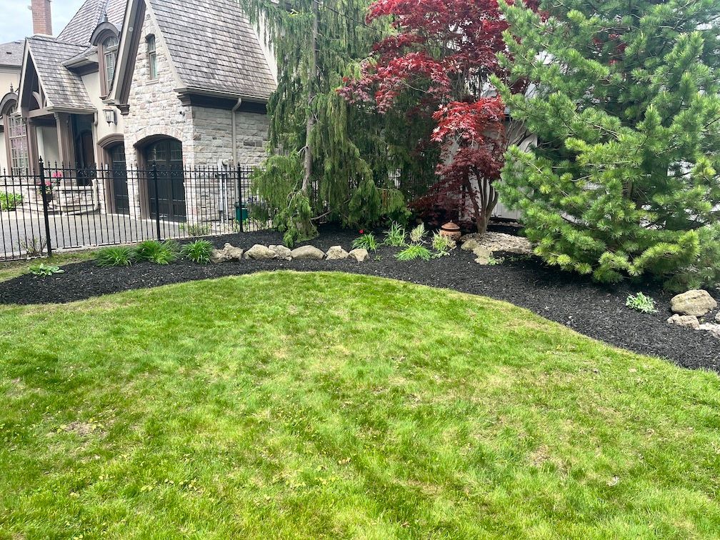 A large lush green lawn with a house in the background.
