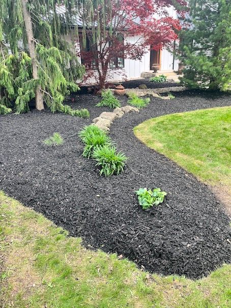 A garden with black mulch and plants in front of a house.