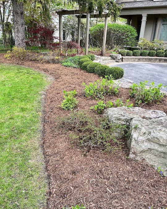 A lawn with a lot of mulch and rocks in front of a house.