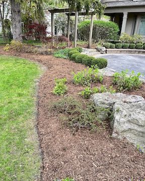 A lawn with a lot of mulch and rocks in front of a house.