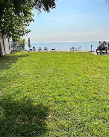 A large lush green field with a view of the ocean.