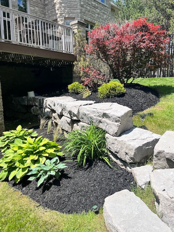 A garden with rocks and plants in front of a house.