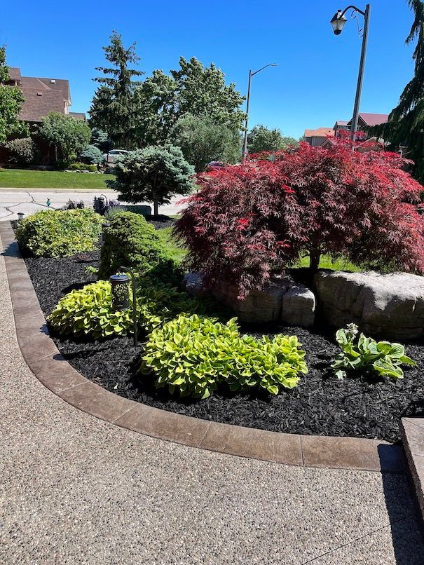 A lush green garden with a red tree in the middle.
