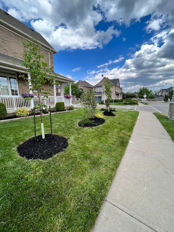 A sidewalk leading to a row of houses with trees in front of them.