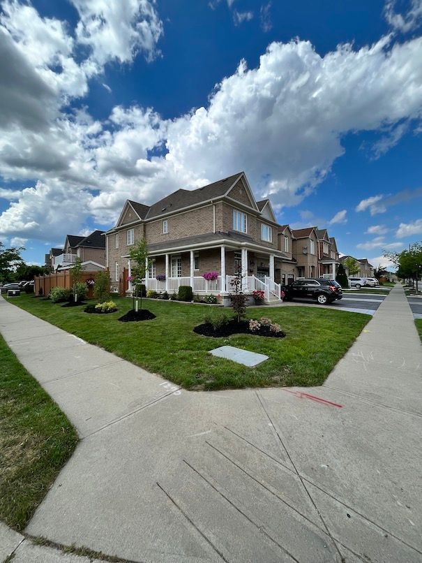 A row of houses on a sunny day with a sidewalk in front of them