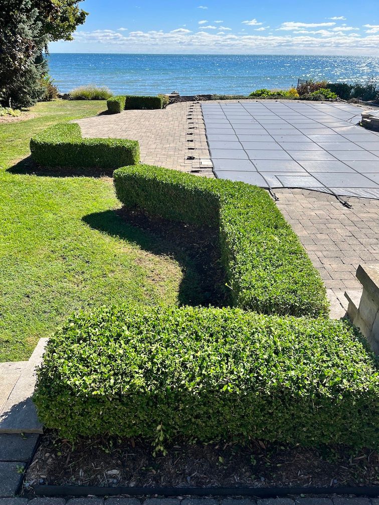 hedge trimming shrub trimming