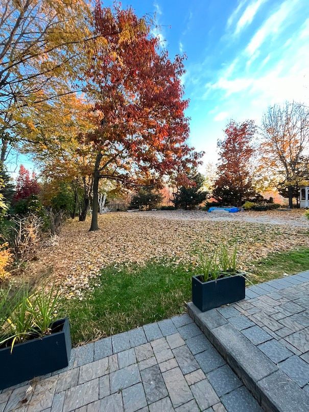 A patio with a tree in the background and a lot of leaves on the ground.